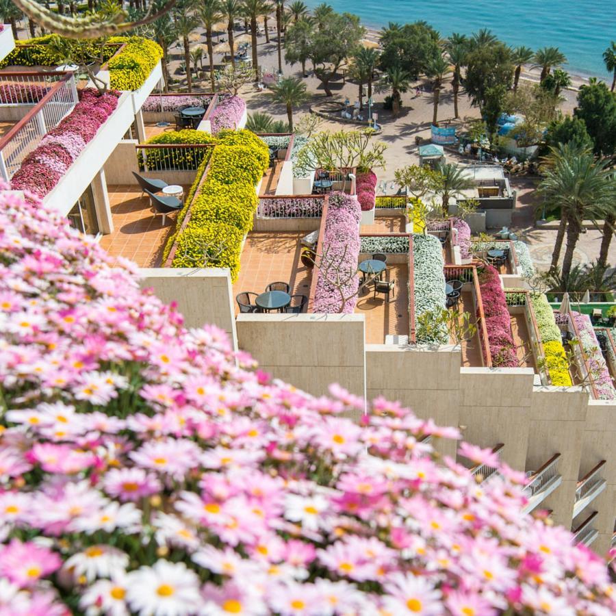 Dan Eilat Hotel Exterior foto The hotel's flower-filled balconies