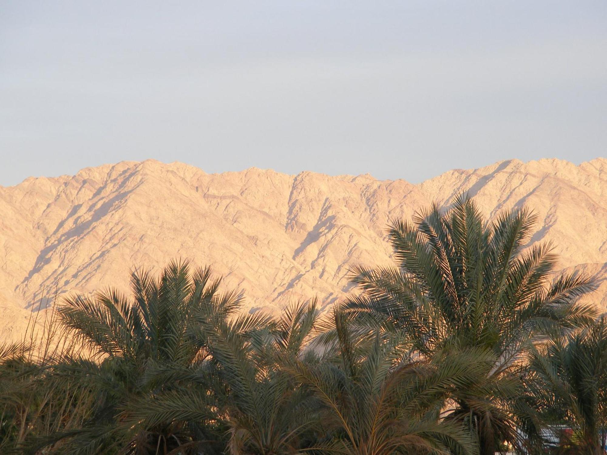 Dan Eilat Hotel Exterior foto The desert of al-Ahsa